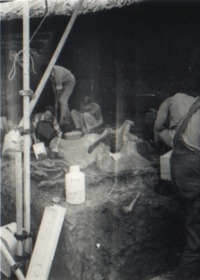 19640000 AVELEY Joyce Collard Centre.jpg